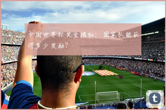 中国世界杯奖金揭秘:国家队能获得多少奖励?