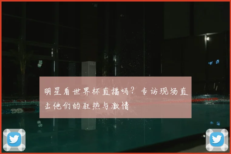 明星看世界杯直播吗?专访现场直击他们的狂热与激情