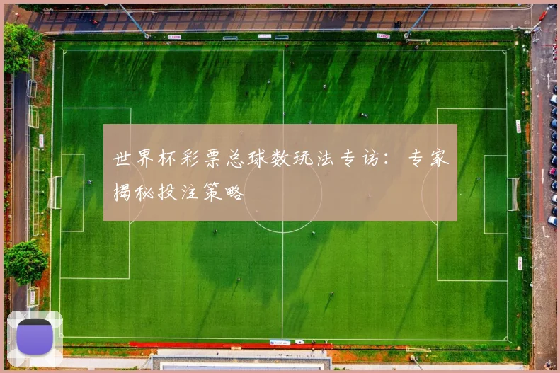 世界杯彩票总球数玩法专访：专家揭秘投注策略