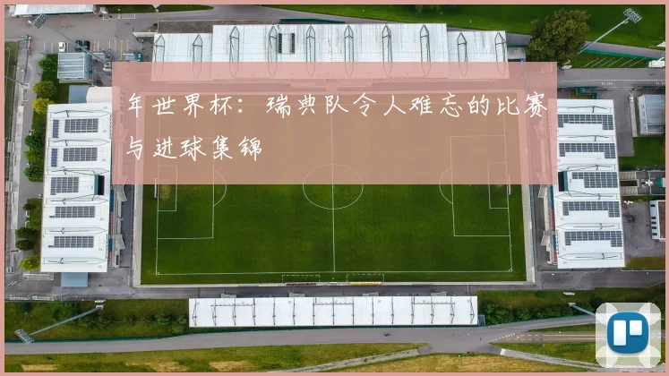 年世界杯:瑞典队令人难忘的比赛与进球集锦