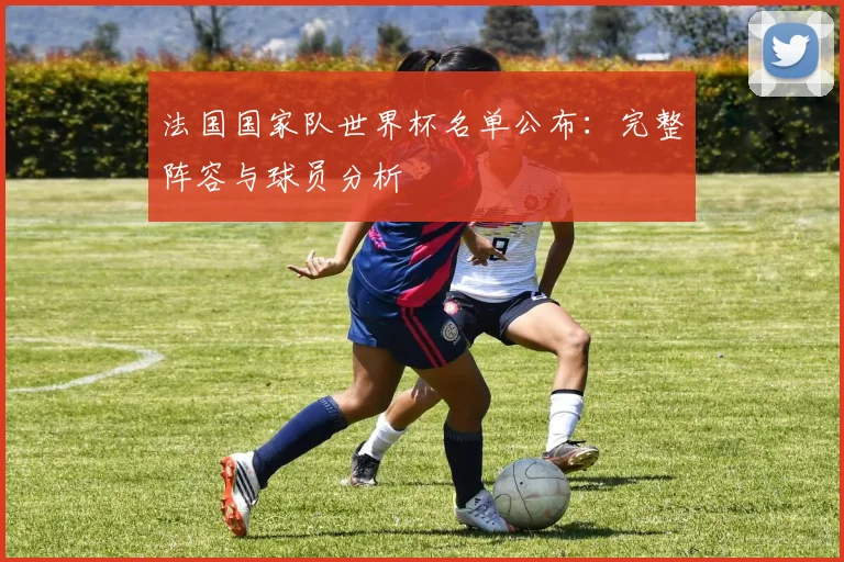 法国国家队世界杯名单公布:完整阵容与球员分析