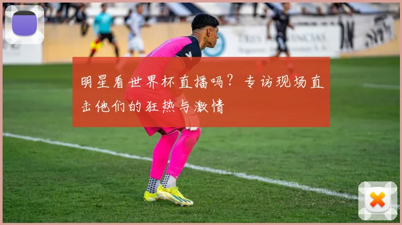 明星看世界杯直播吗?专访现场直击他们的狂热与激情