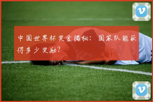 中国世界杯奖金揭秘:国家队能获得多少奖励?
