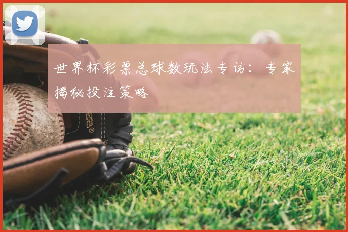 世界杯彩票总球数玩法专访：专家揭秘投注策略