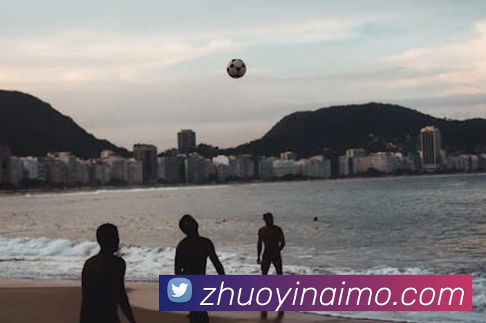 leyu乐涛官网地址发展历程